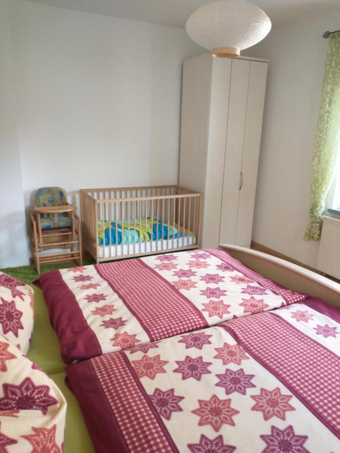 Ferienwohnung Im Erzgebirge In Gelenau Exterior foto